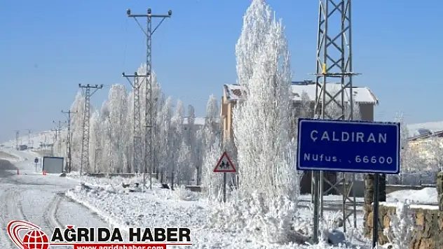 Van Çaldıran Dondu! Çıkan Manzara Kartpostalları Aratmıyor