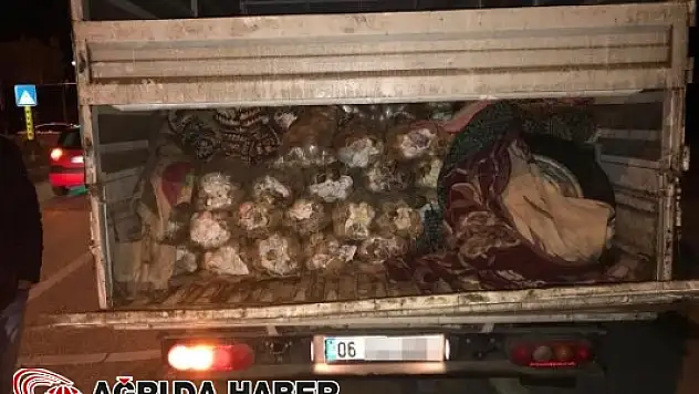 Van'da Patates Çuvalları Arasında 17 bin Paket Kaçak Sigara Yakalandı
