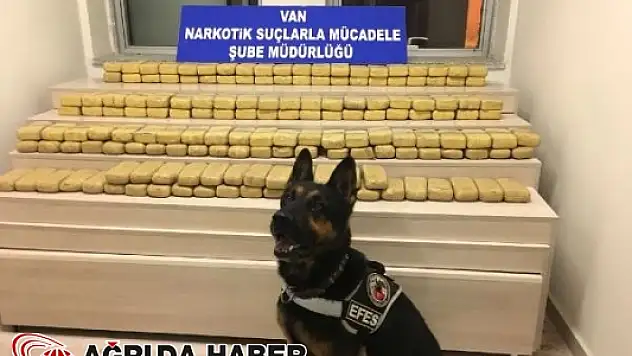 Van'da Uyuşturucu Operasyonu: 81 Kilo 920 gram Eroin Ele Geçirildi