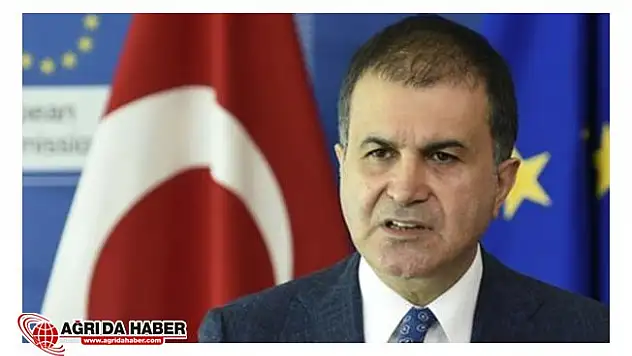 AB Bakanı Ömer Çelik: 'Zeytin Dalı Harekatı' eleştirilerini sert çıktı