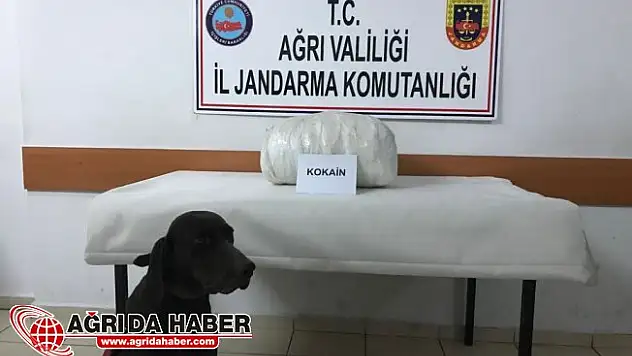 Ağrı'da ki Uyuşturucu Operasyonunda 18,5 Kilogram Kokain Yakalandı