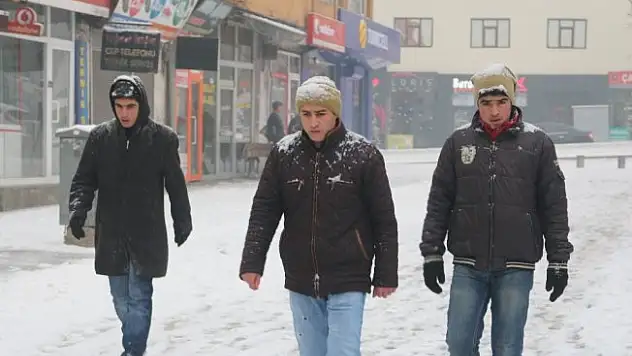 Ağrı'da dondurucu soğuklar yerini kar yağışına bıraktı