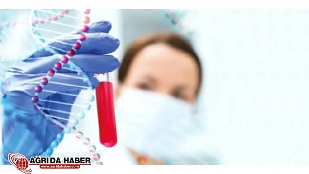 Kanser Hastalığına Canlı İlaçla Çözüm