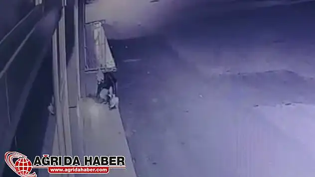 Kavga Ettiği Dayısının Dükkanını Kundakladı