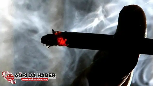 Sigara Tiryakilerine Müjde! Beyinde bitirecek Hücre bulundu