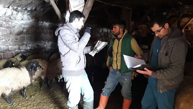 Tatvan'da hayvan ölümlerine karşı bilgilendirme eğitimi