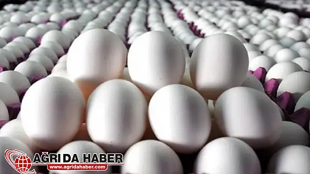 Türkiye İran'a 2 Bin Tırı Aşkın Yumurta Gönderecek