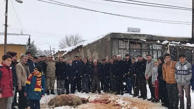 Vatandaşlar Mehmetçik için kurban kesti
