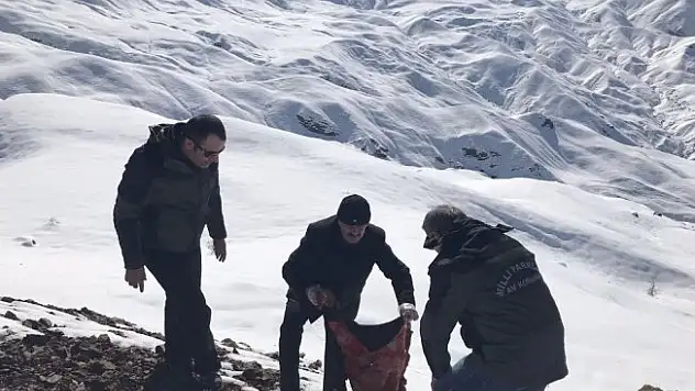 Yaban hayvanları için doğaya yem bırakıldı