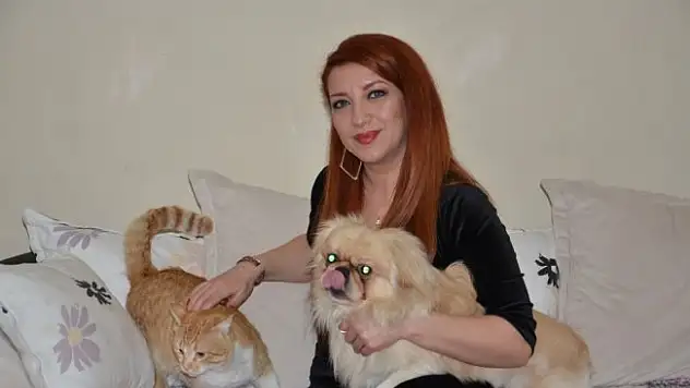 Yenier'den 'Kış aylarında sokak hayvanlarına sahip çıkalım' çağrısı