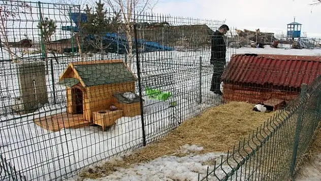 Yetkililer uyardı! 14 Şubat Sevgililer Gününde tavşan almayın