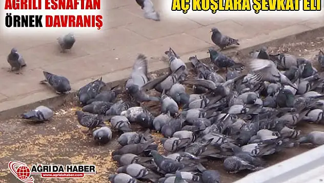 Ağrı'lı Esnaftan Aç Kuşlara Şevkat Eli!