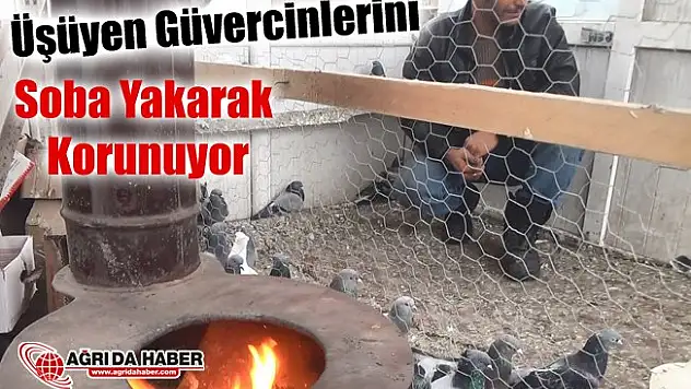 Ağrılı vatandaş soba yakarak güvercinlerini donmaktan koruyor