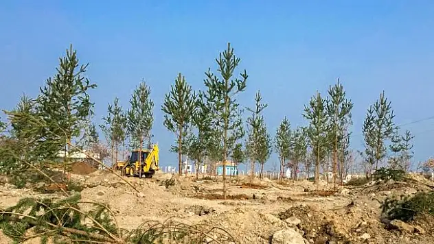Atabey iskelesi yeniden düzenleniyor