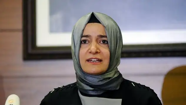 Bakan Kaya'dan 'hadım' açıklaması
