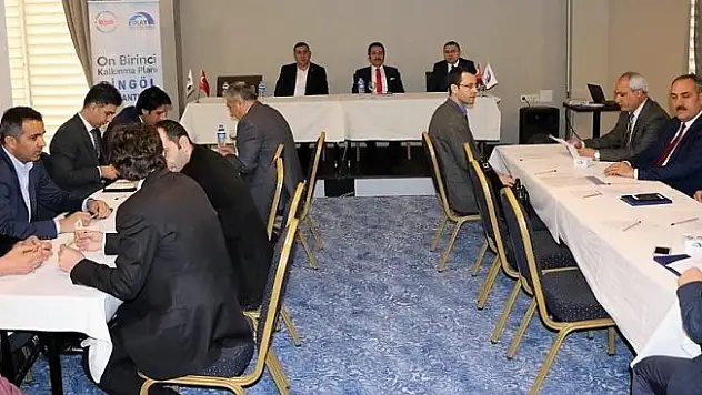 Bingöl'de 11. Kalkınma Planı Hazırlık Toplantısı