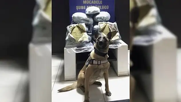 Bingöl'de 59 kilo toz esrar ele geçirildi