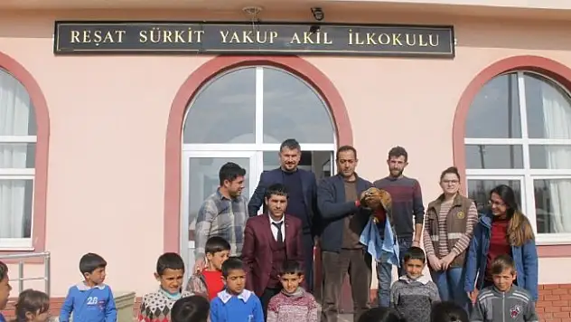 Bozkır Şahin'i doğaya bırakıldı