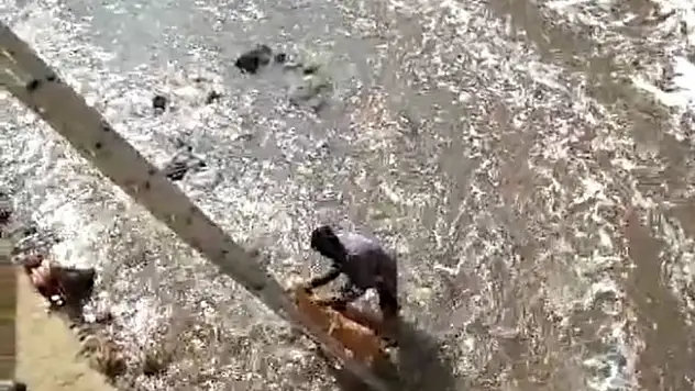 Dereye düşen sokak köpeğini kurtarmak için kıyafetleriyle suya atladı