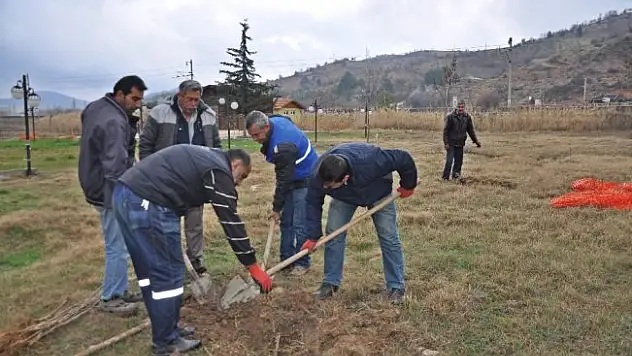 Doğa Parkı ağaçlandırılıyor