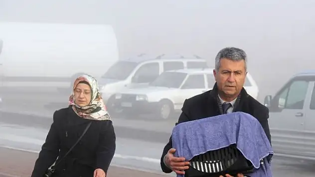 Duruşmaya kedisiyle gitti