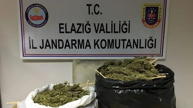Elazığ'da Jandarma 2017'de 546 kaçakçılık olayına müdahale etti