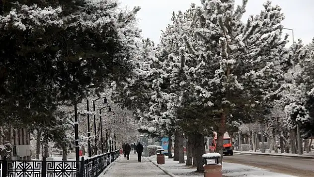Erzurum güne karla uyandı