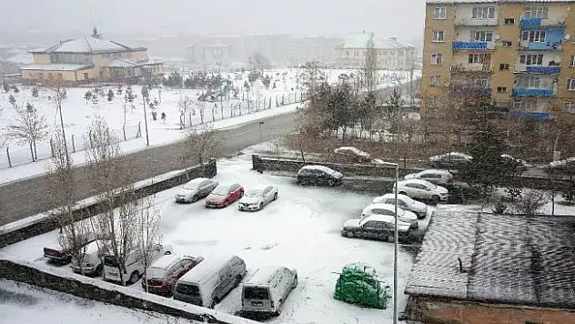Erzurum'da kar yağışı