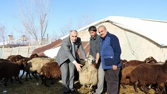 'Genç Çiftçi' projesi ile hayalini yaşıyor