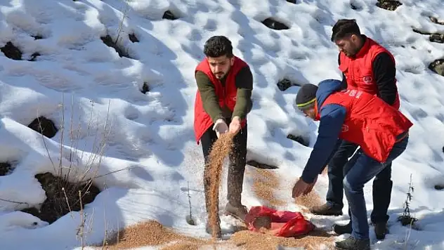 Muş'ta Gençlik Liderleri yaban hayvanları için doğaya yem bıraktı