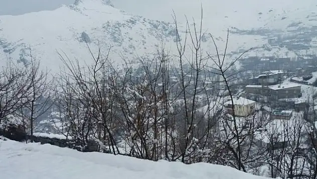 Hakkari'de kar yağışı hayatı olumsuz etkiledi