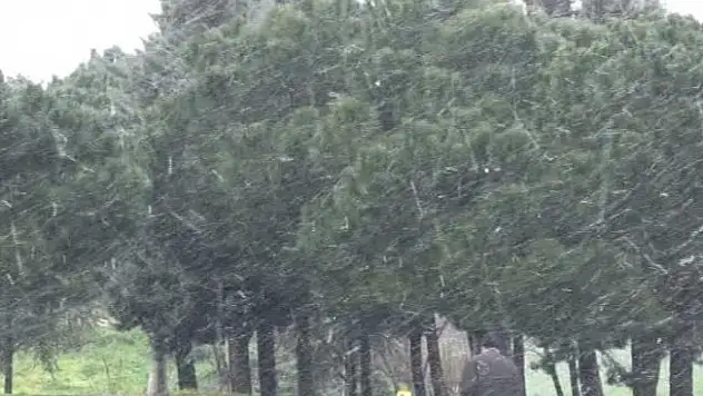 İstanbul'da kar yağışı etkili olmaya başladı