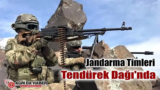 Jandarma Komando Timleri Ağrı Tendürek Dağı'nda operasyon başlattı
