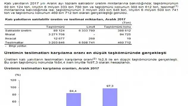 'Katı yakıt' istatistikleri açıklandı