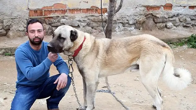 Kötü alışkanlıklarından hayvan sevgisiyle kurtuldu