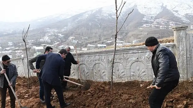 Muş'ta mezarlık çevresinde yeşillendirme çalışması