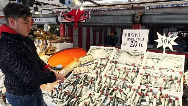 (Özel Haber) Uskumru hamsinin tahtını sallıyor
