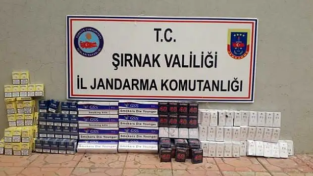 Şırnak'ta 3 bin 350 paket kaçak sigara ele geçirildi