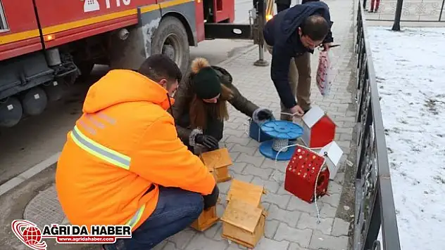 Soğuktan Korunmaları İçin Ağrı'da 'Kuş Evleri' Yapıldı