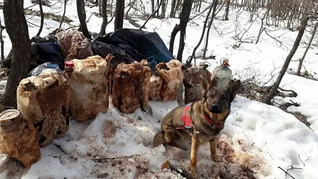 Tunceli'de 4 sığınak imha edildi, 150 kiloluk patlayıcı ele geçirildi