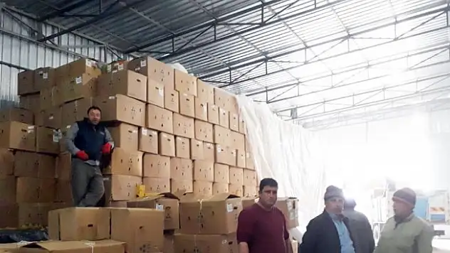 Tütün üreticileri fiyatlardan rahatsız