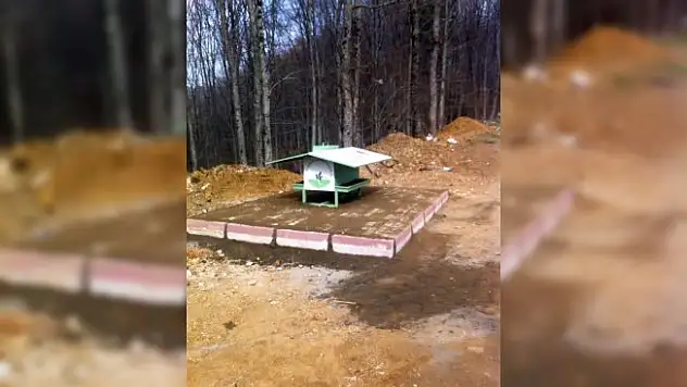 Uludağ'daki hayvanlar sahipsiz değil