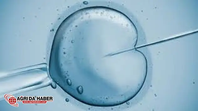 Uzmanlar Uyardı! Tüp bebek tedavisinde aspirin kullanımına dikkat!