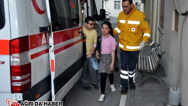 Van Çaldıran'da 9 Kişi zehirlenme şüphesi
