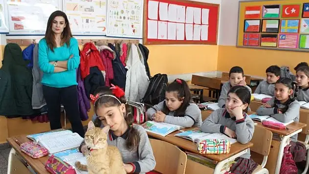 Veli şikayetiyle uzaklaştırılan kedi Tombi yeniden okula döndü