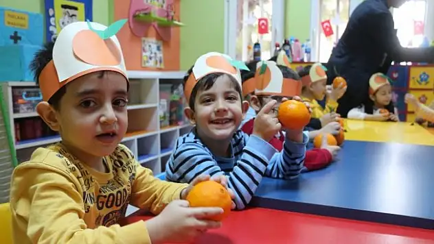 Vitamin dolu örnek proje
