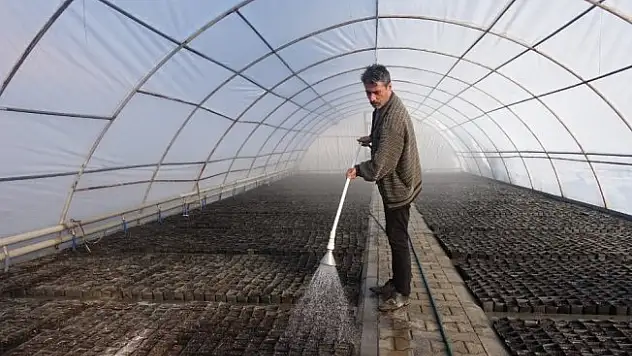 Yüz binlerce çiçek toprakla buluşmayı bekliyor