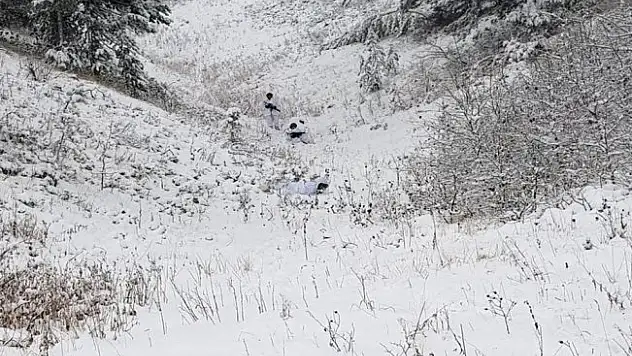 3 terörist etkisiz hale getirildi