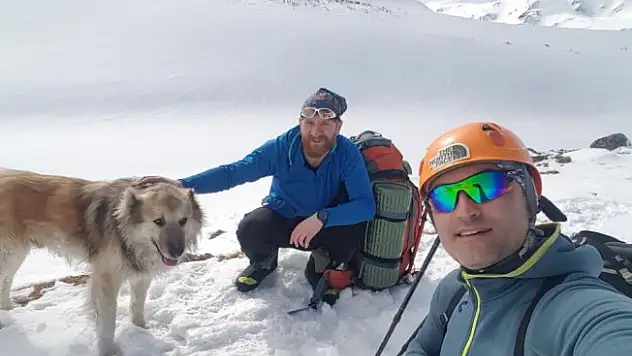 4 bin 400 metrede köpeği böyle kurtardılar