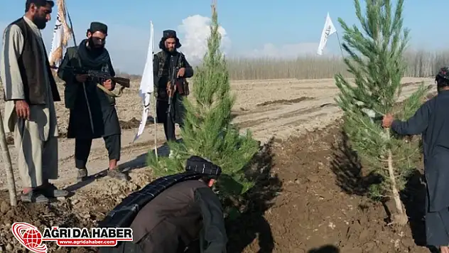 Afganistan'da Taliban'dan 'Fidanlar Toprağa' Kampanyası
